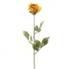 Shinoda Design Center 29-5-garden-rose-b2