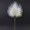 Shinoda Design Center 30-fan-palm-spray-beige