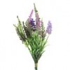 larkspur