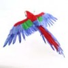 Shinoda Design Center 22-x27-open-wing-macaw-a4