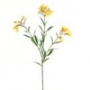 trumpet-flowers