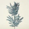 glittered-foliage