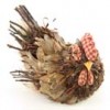chickens-roosters
