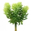7"SOFT SEDUM PICK GREEN Shinoda Design Center 7-soft-sedum-pick-green