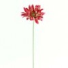 Shinoda Design Center 28-royal-gerbera-daisy-bty-b4