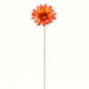 Shinoda Design Center 22-5-royal-gerbera-daisy-b6