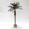 Shinoda Design Center 6-phoenix-palm-tree-w-pot