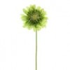 19"GERBERA DAISY SPRY A4 Shinoda Design Center 19-gerbera-daisy-spry-a4