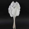 Shinoda Design Center 21-king-palm-spear-x10