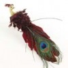 Shinoda Design Center 11-curly-peacock-w-clip-a4