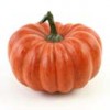 Shinoda Design Center pumpkin