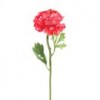 Shinoda Design Center 22-ranunculus-dk-pink-a4