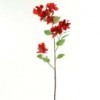 Shinoda Design Center 43-bougainvillaea-red