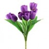 Shinoda Design Center tulip-bush-x9-purple
