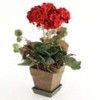 Shinoda Design Center 19-potted-geranium-red-a4