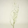 glittered-metallic-foliage