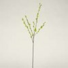 stems