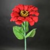 zinnia