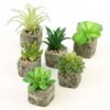 2.5-4"SUCCULENT W/POT Shinoda Design Center 2-5-4-succulent-w-pot