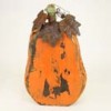 gourds-pumpkins