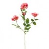 ROSE X4 B4 Shinoda Design Center rose-x4-b4