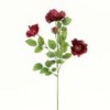 Shinoda Design Center 23-rose-x4-burgundy-b5