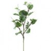 VIRGINIA CREEPER SPRAY Shinoda Design Center virginia-creeper-spray