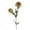 ZINNIA GREEN B6 Shinoda Design Center zinnia-green-b6