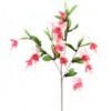 FUCHSIA Shinoda Design Center fuchsia