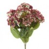 HYDRANGEA BUSH Shinoda Design Center hydrangea-bush