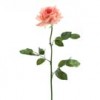 27"LF FANTASIA ROSE A25 B10 Shinoda Design Center 27-lf-fantasia-rose-a25-b10