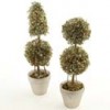 topiaries