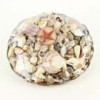 Shinoda Design Center 12-basket-w-asst-seashells