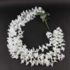 star-flowers