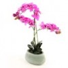 Shinoda Design Center 24-potted-orchid-lavender