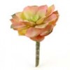 5" SUCCULENT STEM GRN/RED Shinoda Design Center 5-succulent-stem-grn-red