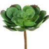 4.5"SUCCULENT STEM GREEN Shinoda Design Center 4-5-succulent-stem-green