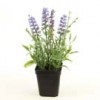 Shinoda Design Center 9-lavender-potted