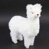 llama