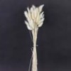Shinoda Design Center 23-5-dried-bunny-tail