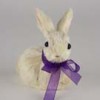 rabbits