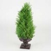 topiaries