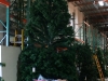 christmas-tree-18-foot-shinoda-design-center-3
