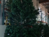 christmas-tree-18-foot-shinoda-design-center