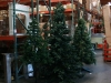christmas-trees-shinoda-design-center-1
