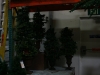 christmas-trees-shinoda-design-center-3