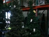 christmas-trees-shinoda-design-center-4