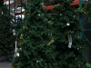 christmas-trees-shinoda-design-center-6