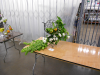 csfa-2011-top-ten-3