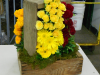 csfa-2011-top-ten-32